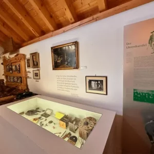 Blick in einen Museumsraum mit Schaukästen.