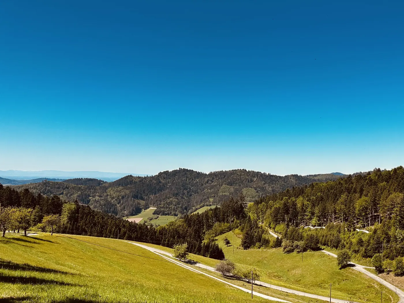 Eine Schwarzwald-Panorama-Aufnahme als Kategoriebild für die Kategorie Unser Schwarzwald auf der Seite Home.