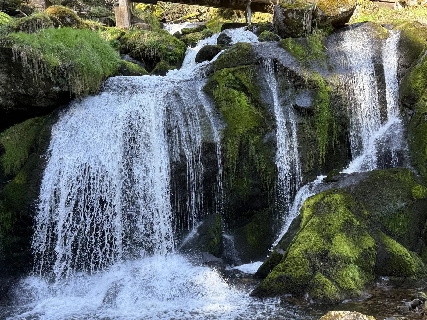 Breite Felskaskade der Triberger Wasserfälle