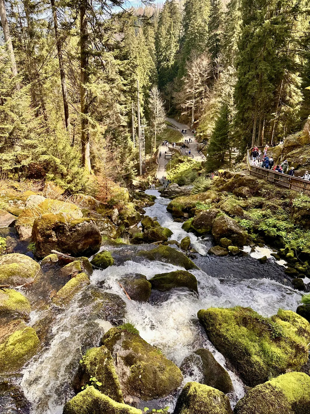 Wasserlauf zwischen moosbewachsenen Felsen im Wald