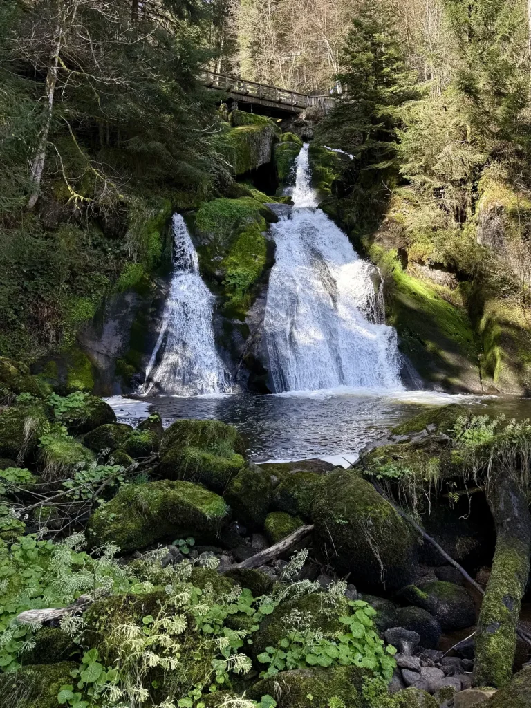 Blick durch den Wald auf eine Kaskade der Triberger Wasserfälle