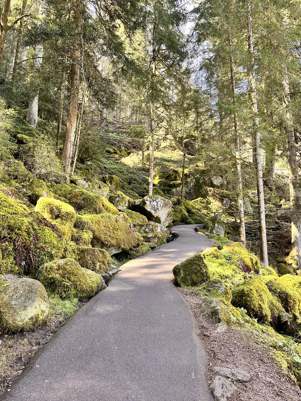 Befestigter Waldweg im Gebiet der Triberger Wasserfälle