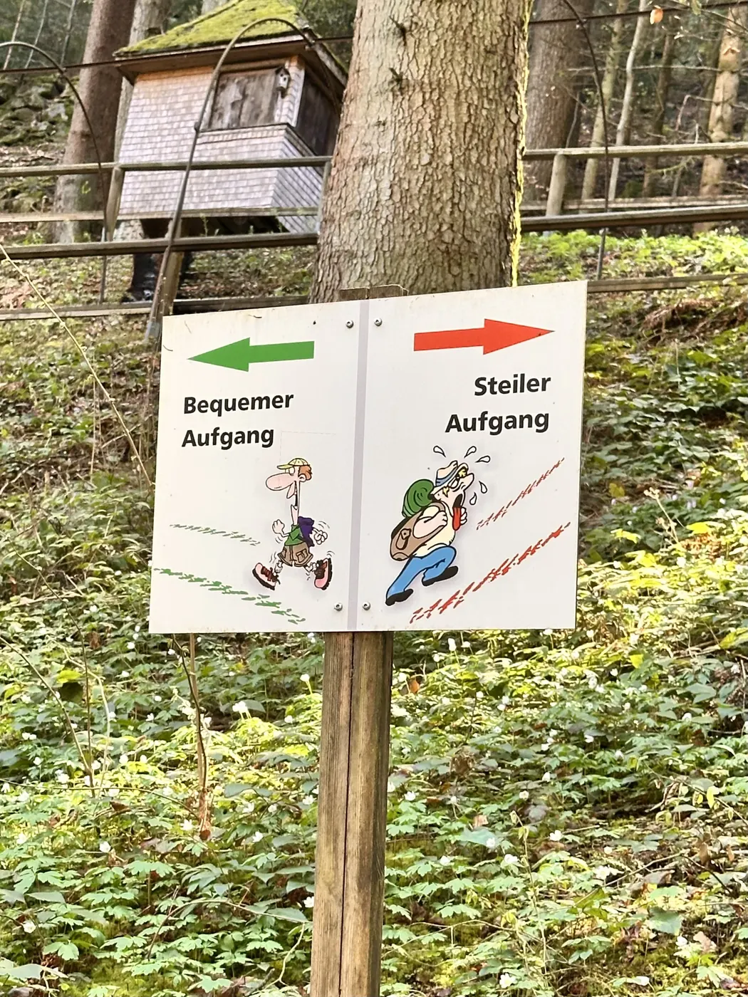 Wegweiser im Waldgebiet der Triberger Wasserfälle