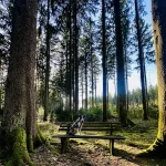 Sitzbank am Hohen Geisberg bei Schweighausen mit Blick in den Schwarzwald während eines Hundespaziergangs