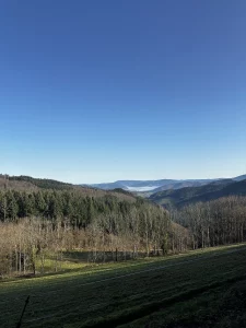 Weitblick vom Hohen Geisberg über den Schwarzwald bei Schweighausen