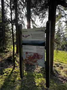 Informationstafel am Achatweg auf dem Hohen Geisberg bei Schweighausen