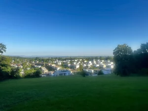Blick über eine Wiese auf Lahr und die Rheinebene