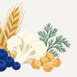 Illustration mit Gerstenähren, Heidelbeeren, Blumenkohl, Kichererbsen und Dill für den dritten Aufbautag