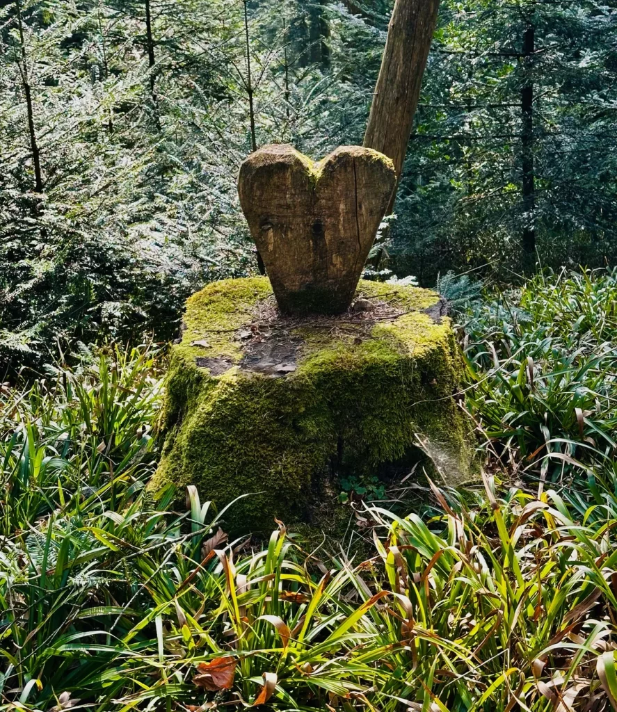 Moosbewachsener Baumstumpf am Wanderweg zum Brandenkopf