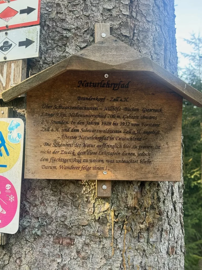 Informationstafel am Aussichtsturm auf dem Brandenkopf