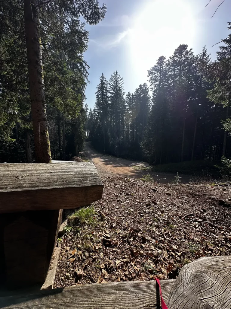 Rastbank entlang des Wanderwegs auf den Brandenkopf