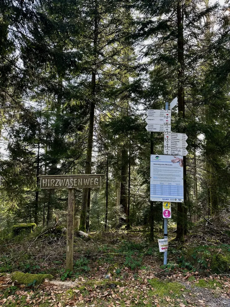 Wegweiser am Wanderweg zum Brandenkopf im Schwarzwald