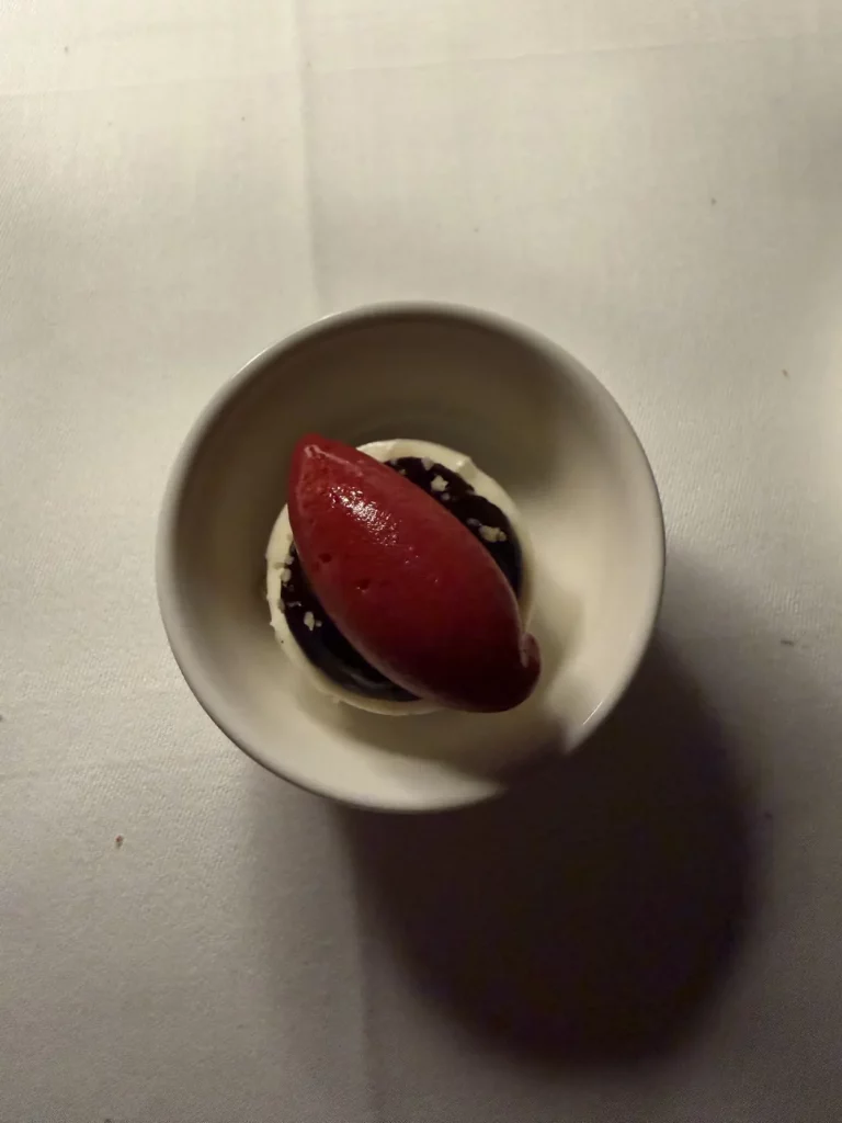Frisches Dessert im Café Gupi mit Himbeeren, Basilikum, Gurke, Milchreis und Eis.
