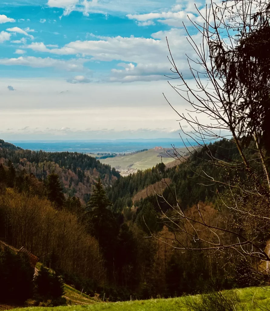Ausblick über die Durbacher Landschaft vom Gebirger Höfe-Weg