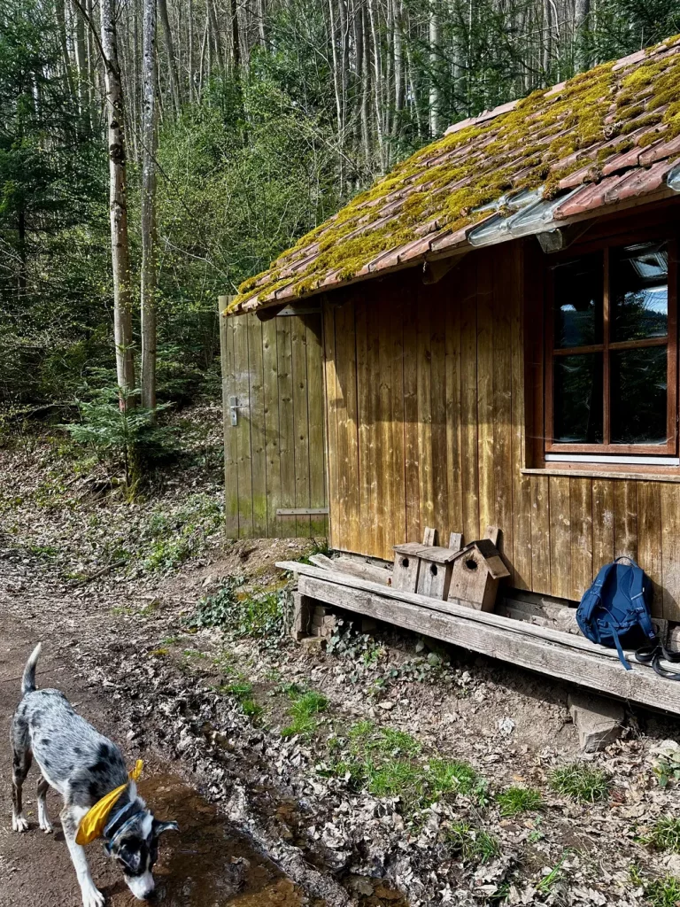 Kleine Rasthütte im Wald am Gebirger Höfe-Weg