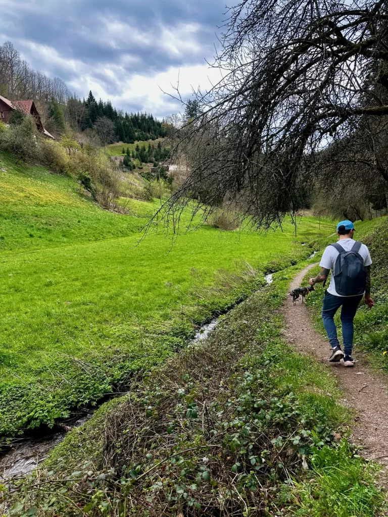 Wanderweg entlang einer Wiese auf dem Gebirger Höfe-Weg