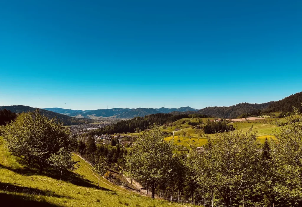 Aussicht über die Schwarzwaldlandschaft auf dem Hahn-und-Henne-Premiumweg