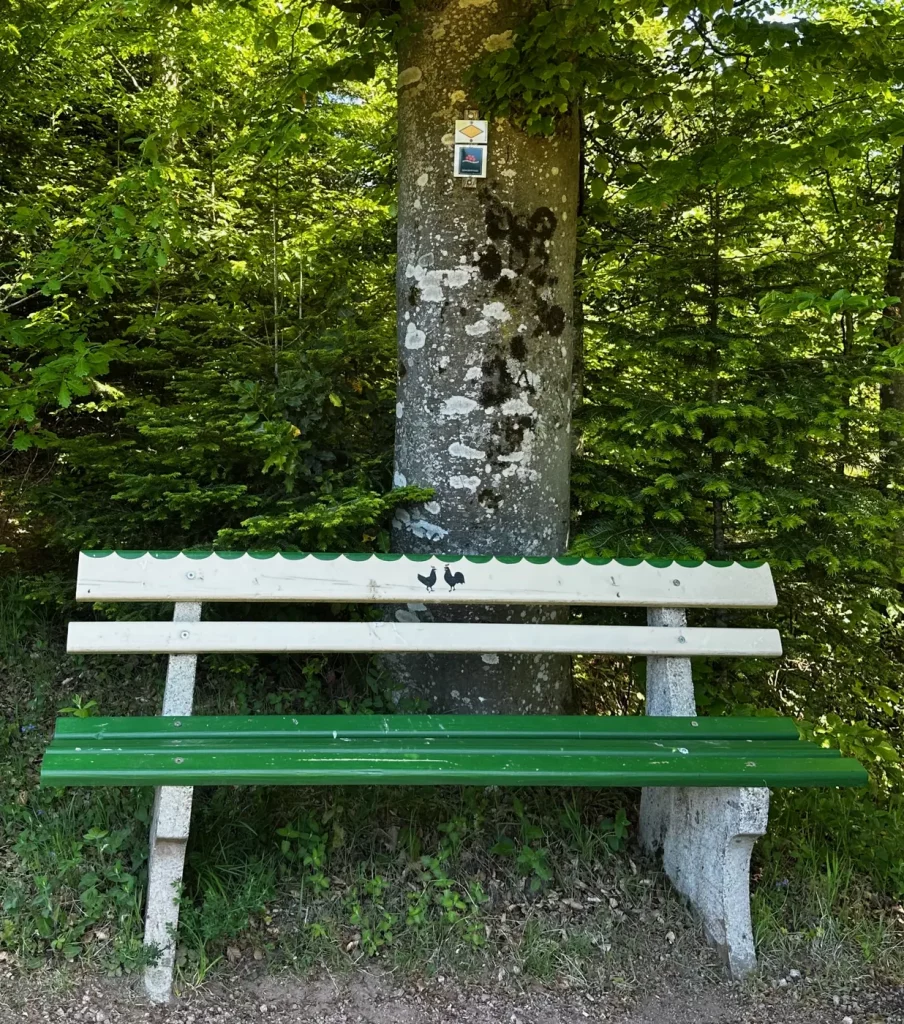 Sitzbank mit Aussicht entlang des Hahn-und-Henne-Premiumwegs