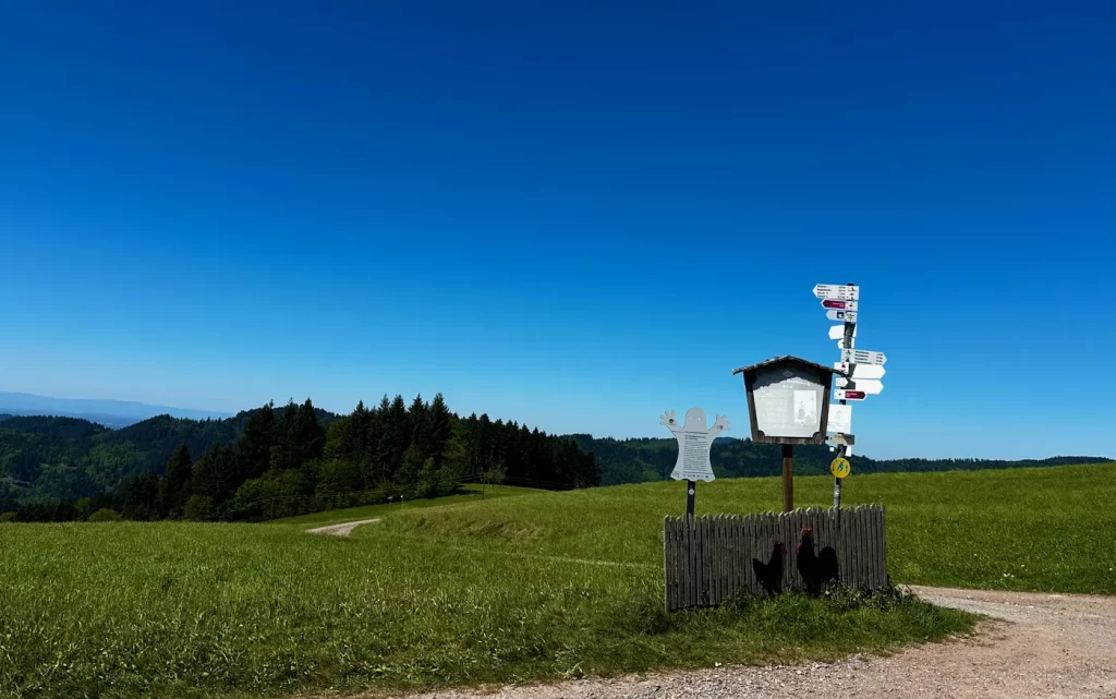Aussichtspunkt mit Wegweiser auf dem Hahn-und-Henne-Premiumweg