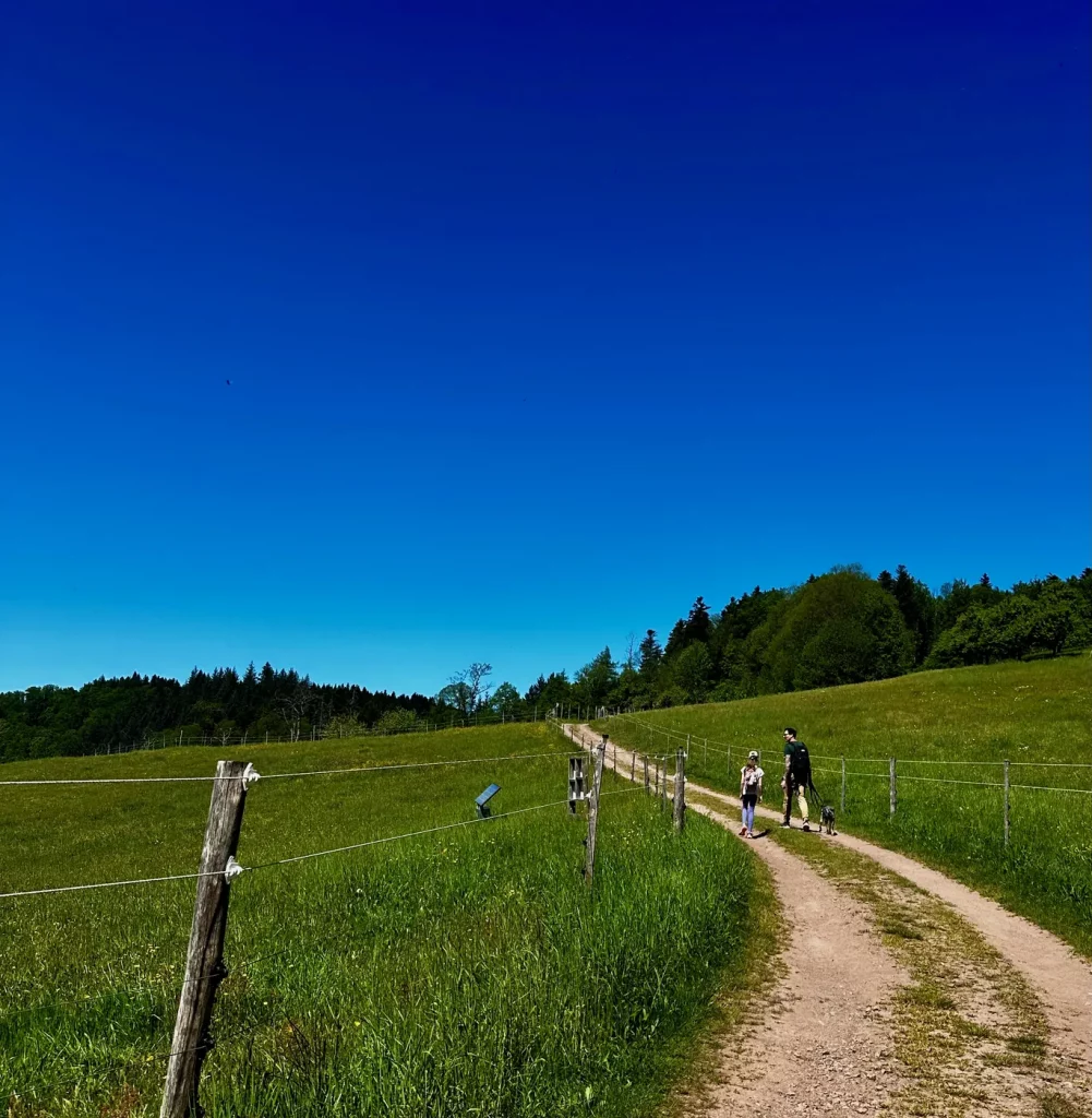 Feldweg durch Wiesen auf dem Hahn-und-Henne-Premiumweg