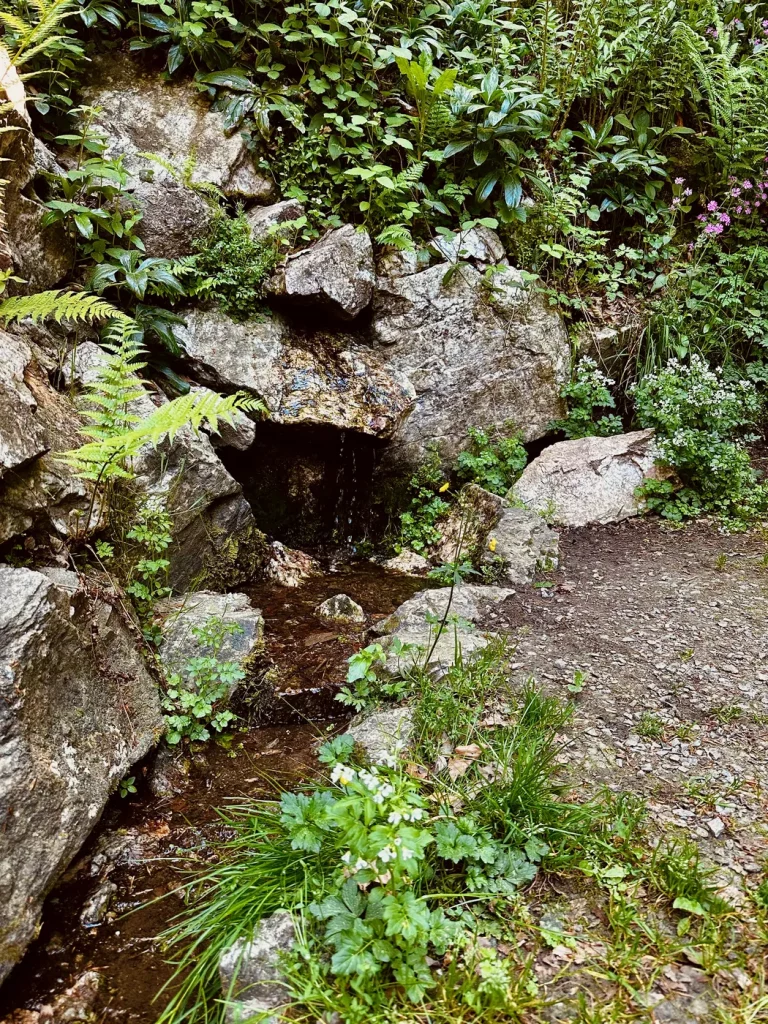 Felsformation entlang des Hahn-und-Henne-Premiumwegs