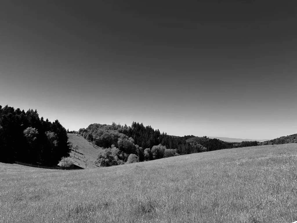 Weitblick über die Schwarzwaldlandschaft entlang des Hahn-und-Henne-Premiumwegs