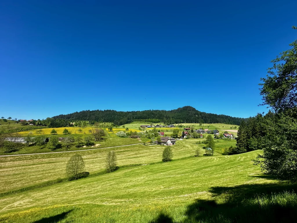 Panoramablick über Wiesen und Schwarzwaldhöhen auf dem Hahn-und-Henne-Premiumweg
