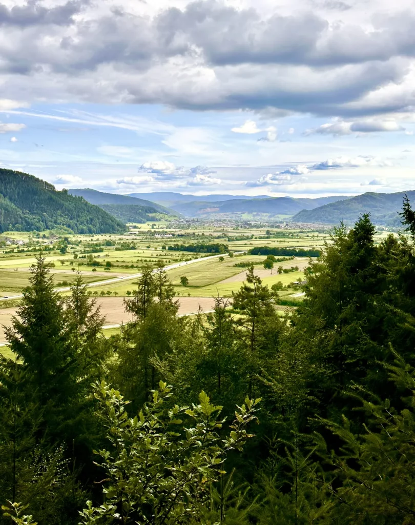 Ausblick vom Hochsitz in den Schwarzwald