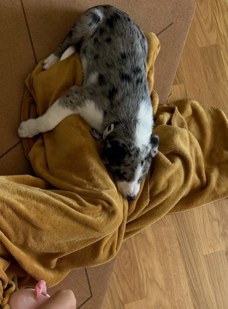 Welpe schläft auf einer Decke neben einem Kind
