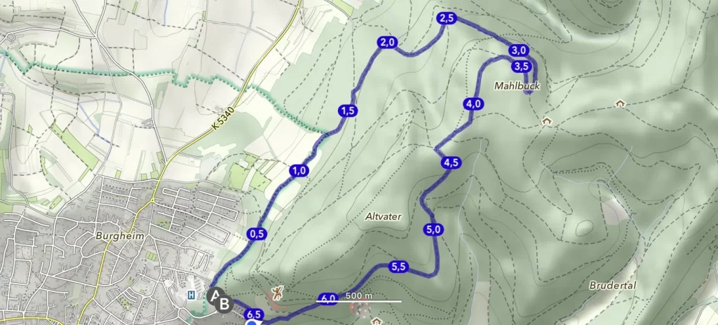 Kartenausschnitt mit markiertem Verlauf der Mohlbuck-Runde in Lahr