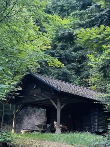 Mohlbuck-Hütte zwischen dichten Bäumen im Wald bei Lahr