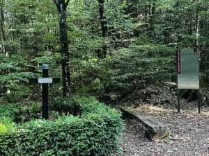 Wegweiser und Informationstafel am Höhenweg der Mohlbuck-Runde
