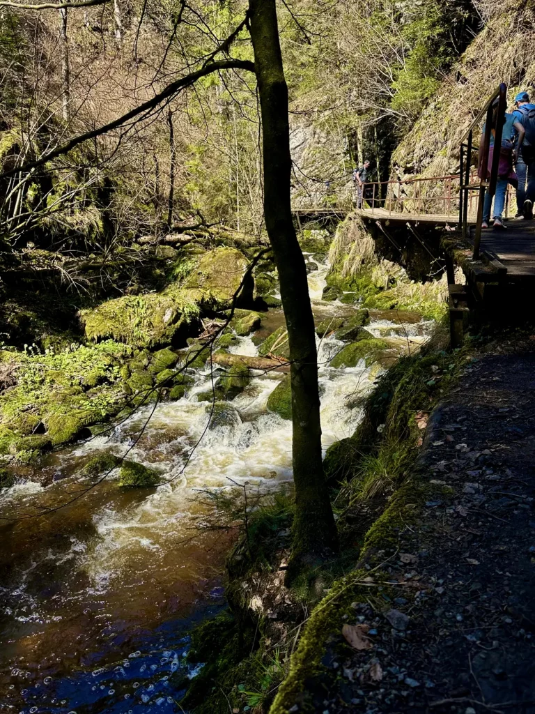 Wasserfall des Ravenna-Bachs in der Ravennaschlucht