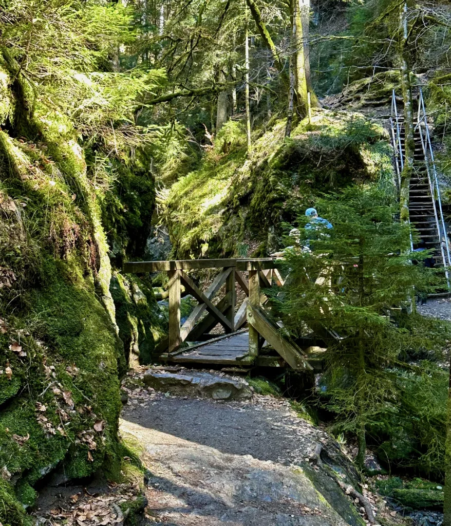 Holzbrücke über den Ravenna-Bach in der Ravennaschlucht