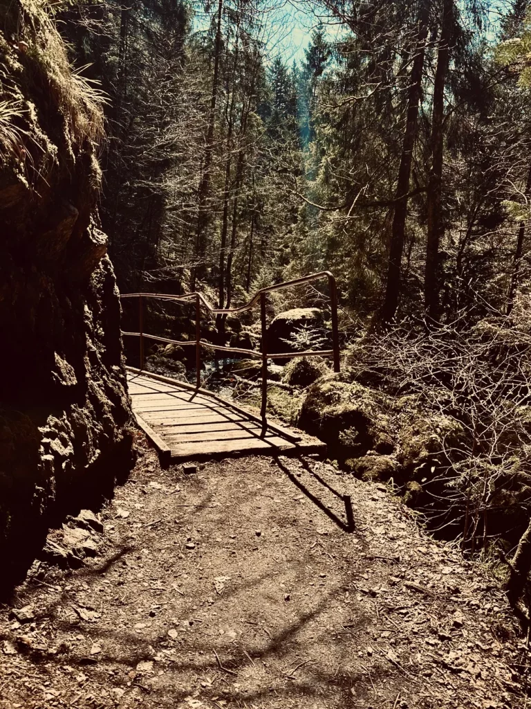 Holzsteg entlang des Wanderwegs durch die Ravennaschlucht