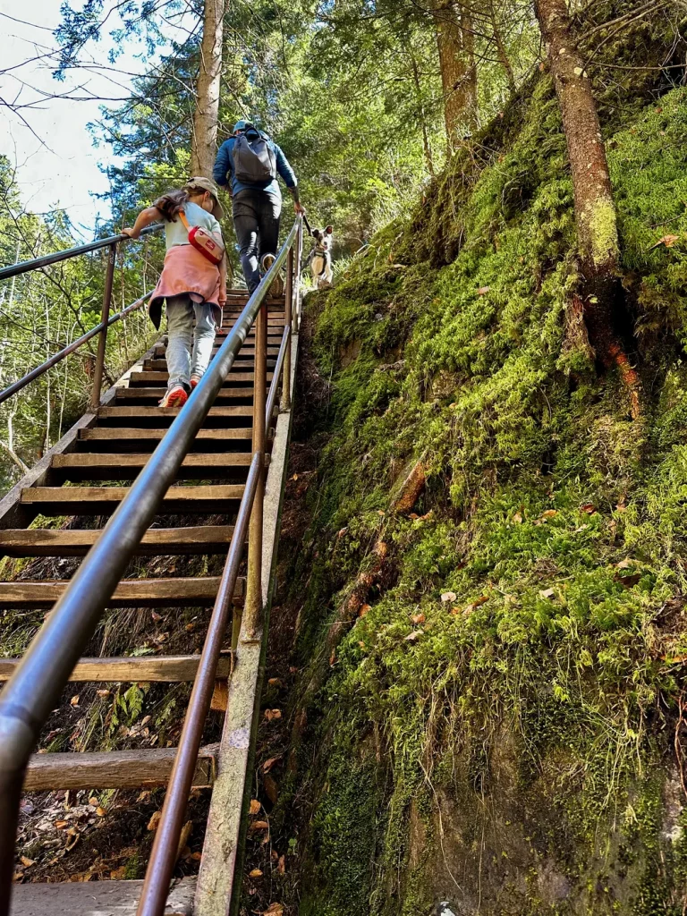 Treppenaufstieg entlang des Wanderwegs durch die Ravennaschlucht