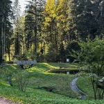 Sägersweiher Schuttertal – ruhiger Hundespaziergang im Schwarzwald