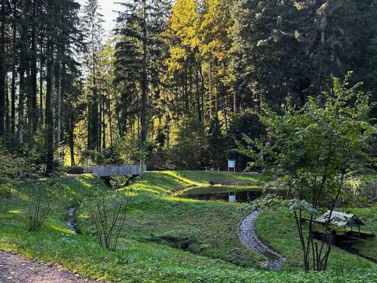 Sägersweiher Schuttertal – ruhiger Hundespaziergang im Schwarzwald