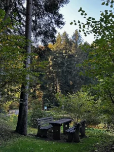 Ruhige Sitzbank am Waldrand beim Sägersweiher in Schuttertal, umgeben von herbstlichem Schwarzwaldwald
