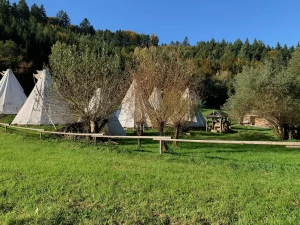 Tipis auf einer grünen Wiese nahe dem Sägersweiher in Schuttertal im Schwarzwald