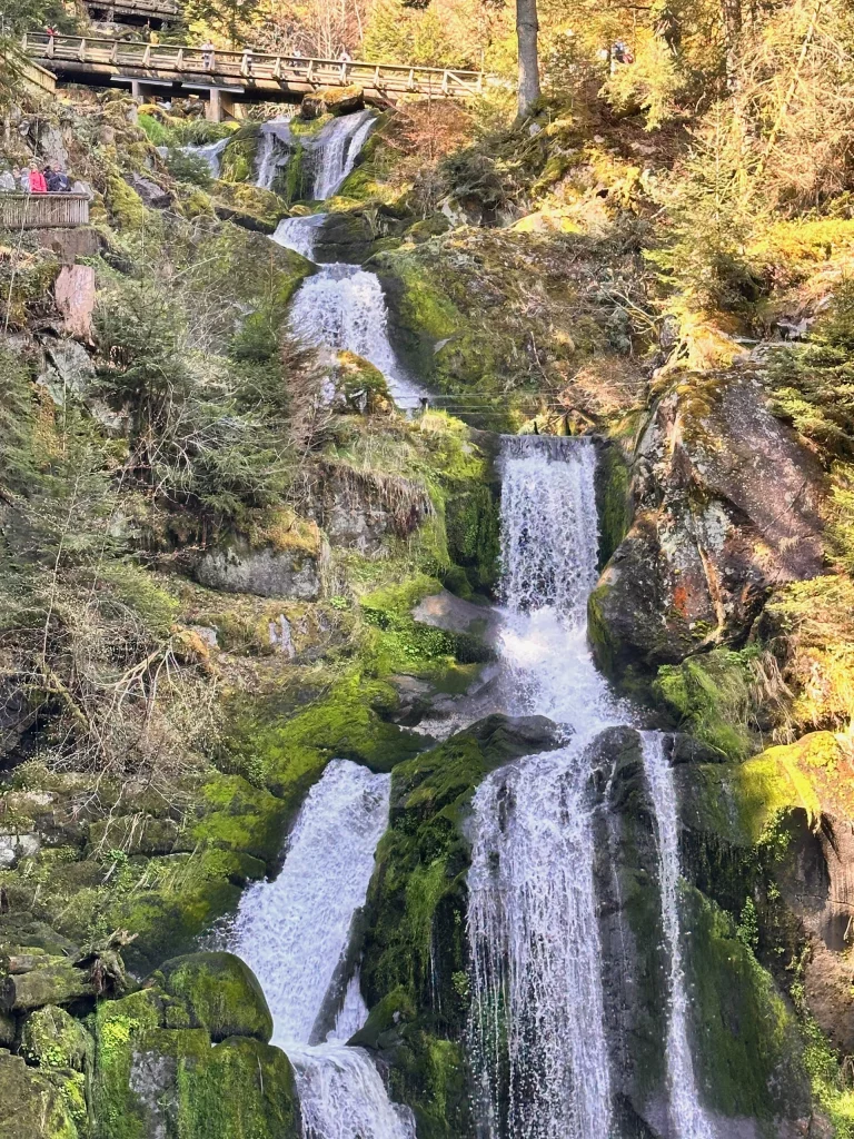 Panoramafoto der Triberger Wasserfälle und Triberg