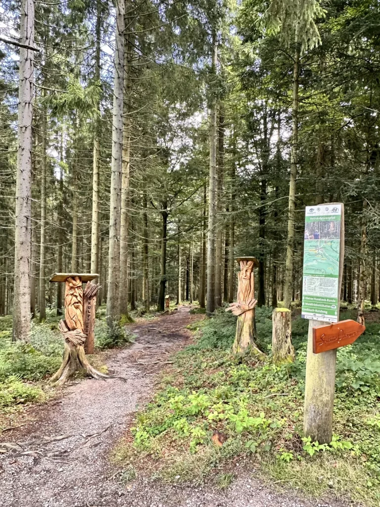 Abzweigung eines Waldpfades im Schwarzwald bei der Hochkopf-Wanderung