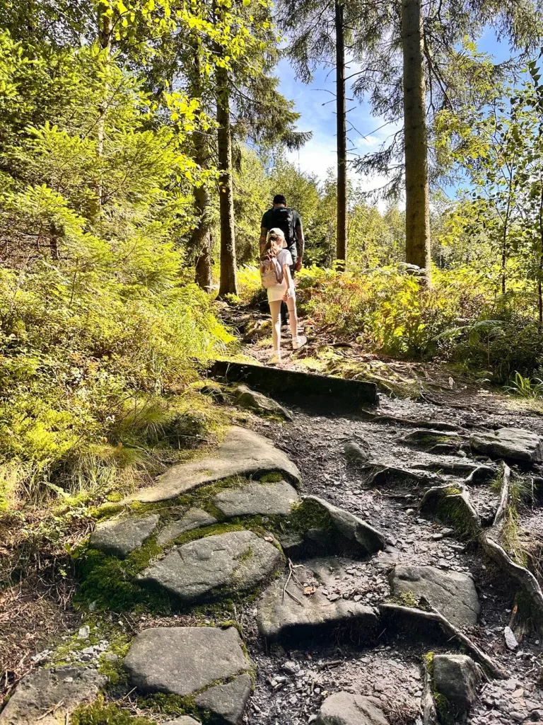 Felsiger Aufstieg auf dem Weg zum Hochkopf im Nordschwarzwald