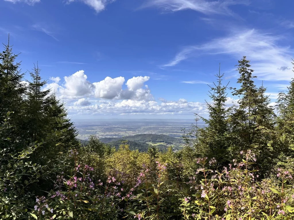Aussicht vom Hochkopf bei Unterstmatt über den Nordschwarzwald und die Rheinebene