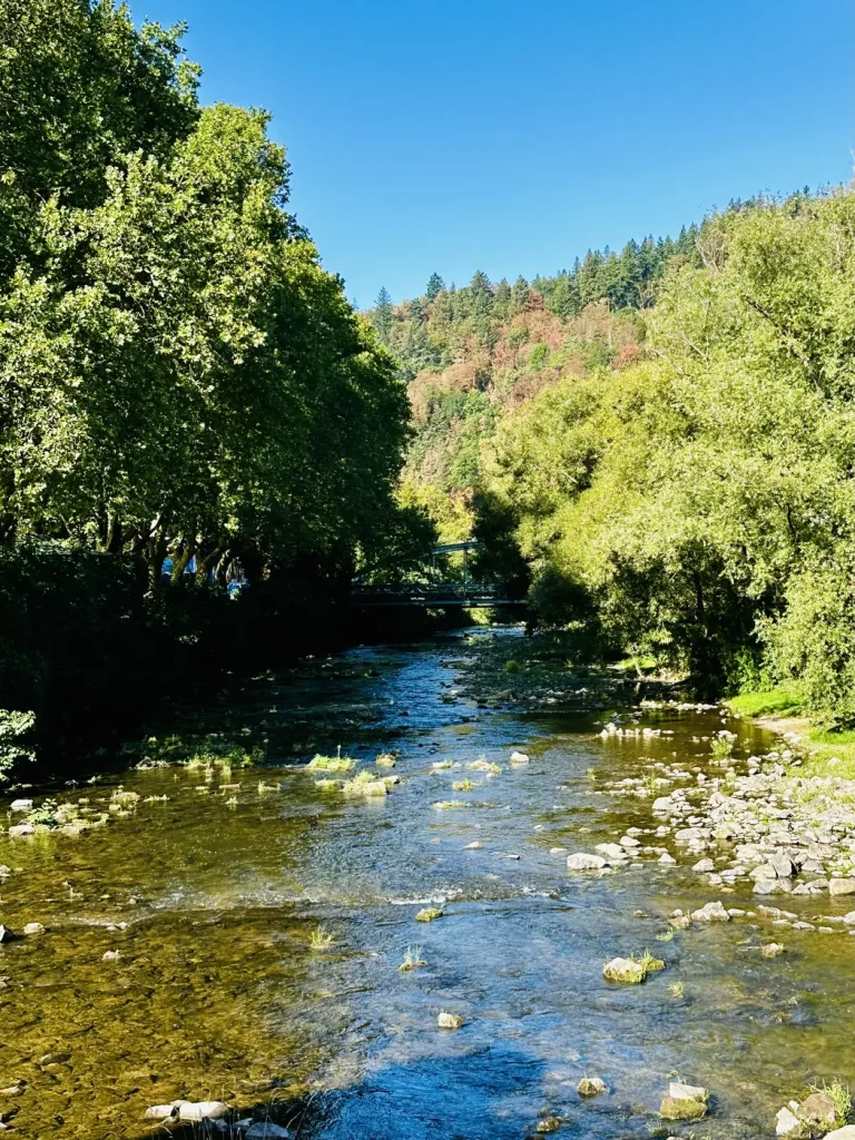 Die Elz fließt zwischen Bäumen und Wiesen durch Waldkirch