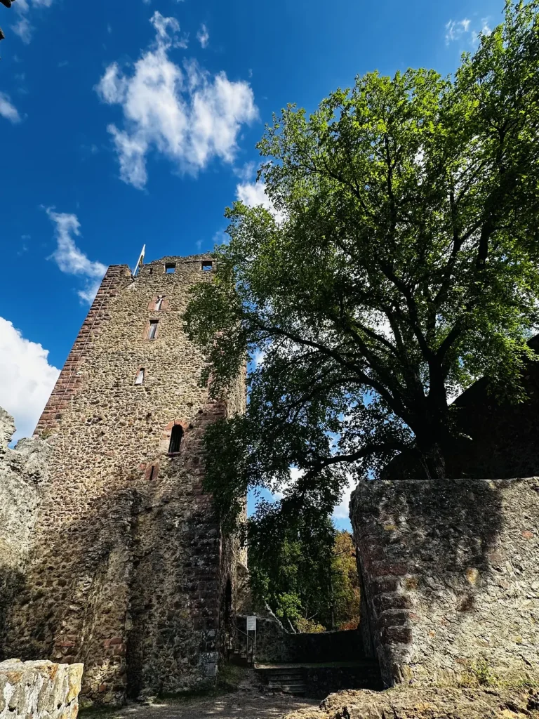 Mauer und Turm der Kastelburg oberhalb von Waldkirch