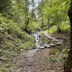 Bachlauf auf dem Wasserpfad Sulzbachtal bei Lahr im Schwarzwald mit schattigem Wald
