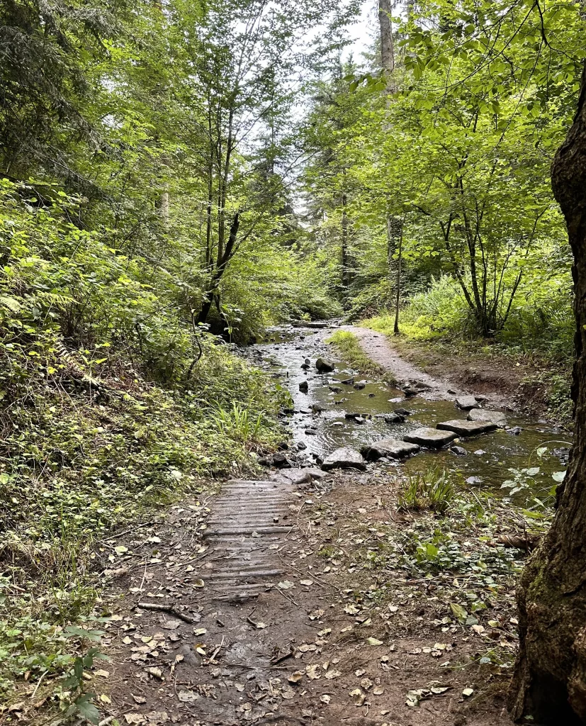 Bachlauf auf dem Wasserpfad Sulzbachtal bei Lahr im Schwarzwald mit schattigem Wald