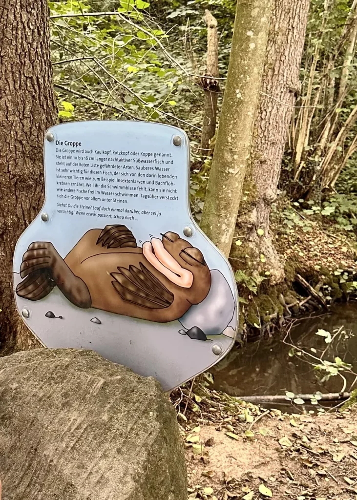 Erlebnisstation für Kinder am Wasserpfad Sulzbachtal mit Mitmach-Element
