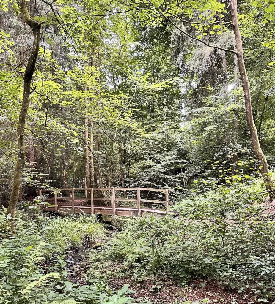 Kleine Holzbrücke im Wald entlang des Wasserpfads Sulzbachtal